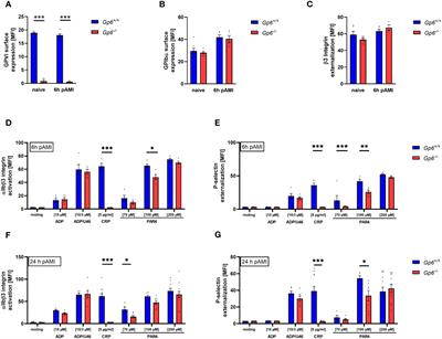 Platelets modulate cardiac remodeling via the collagen receptor GPVI after acute myocardial infarction